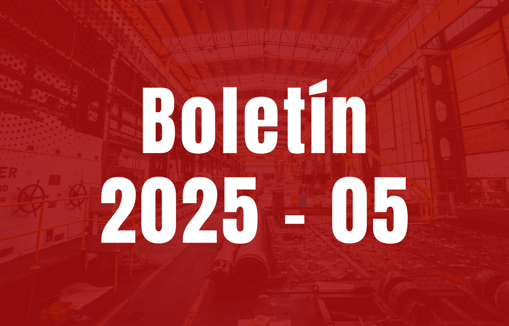 Boletín 2025-05