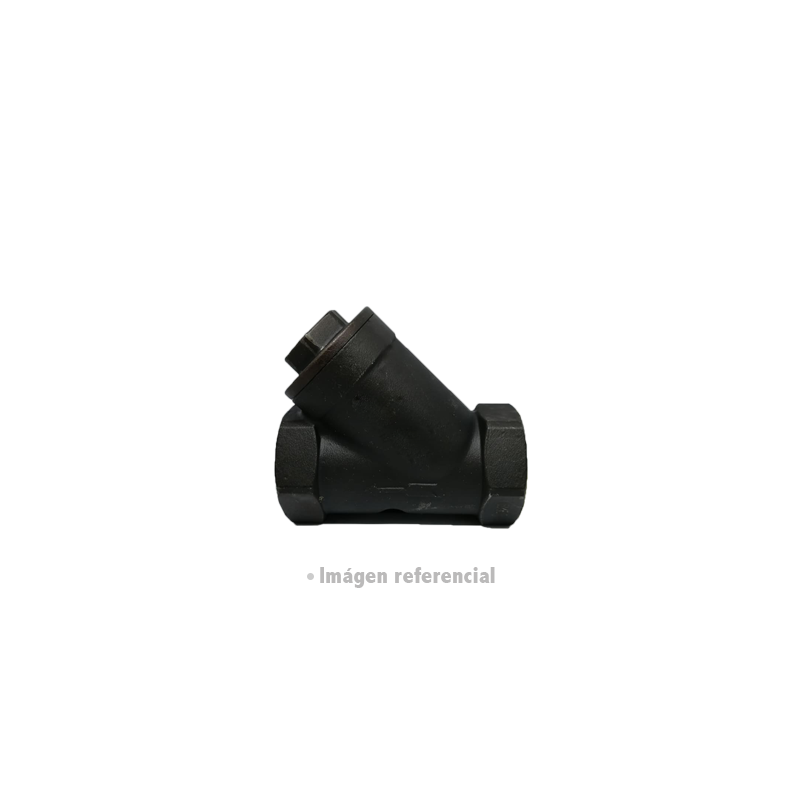 FILTRO A216 NPT GMEC